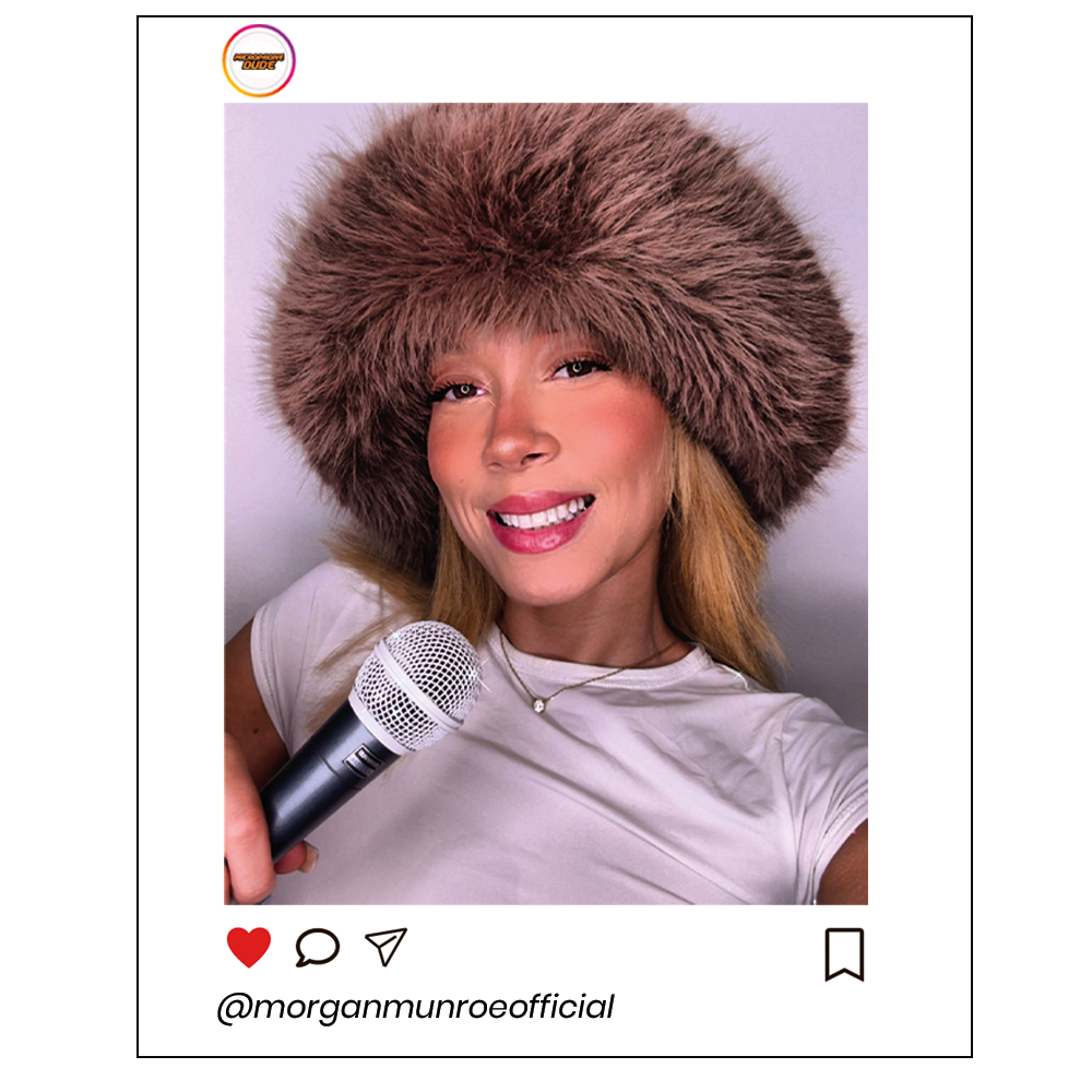 Shure SM58 Replacement Microphone Grille